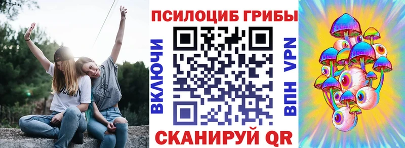 это как зайти Аксай Галлюциногенные грибы Psilocybe