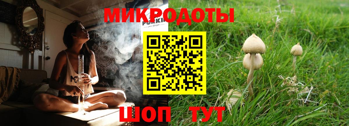 Аксай  Галлюциногенные грибы мицелий  Галлюциногенные грибы Psilocybine cubensis  Вход с VPN 