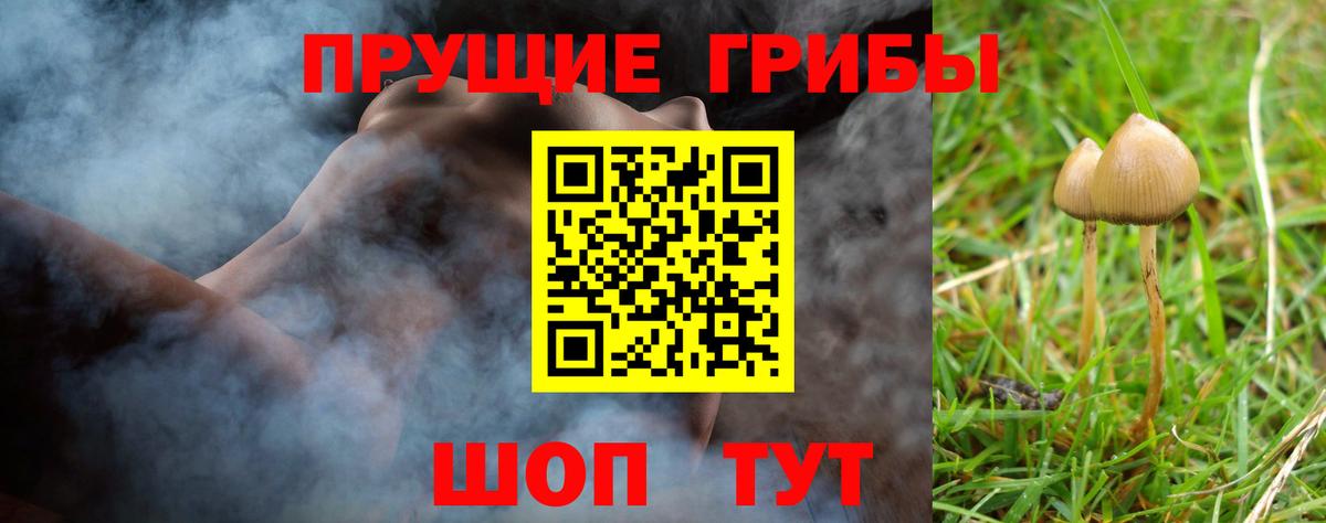 Галлюциногенные грибы GOLDEN TEACHER Аксай